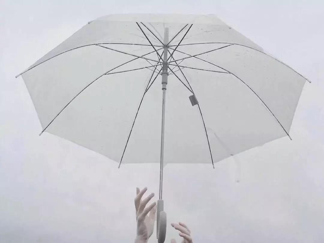 你只能看见，你想看见的世界