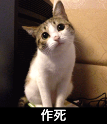 你知道狗狗可以治疗自闭症儿童吗？