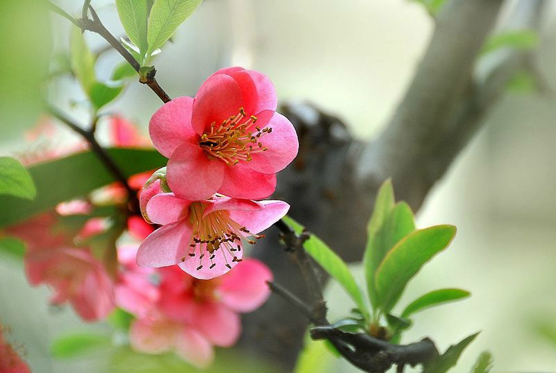 你在用恨的方式爱着谁